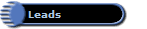 Leads
